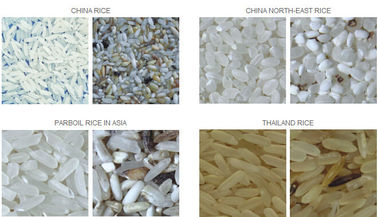 O arroz da boa qualidade e do preço razoável colore a máquina do classificador